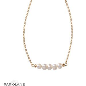 Park Lane Brylee Necklace NIB